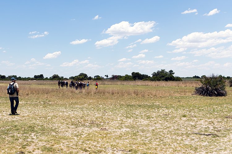 BWA NW OkavangoDelta 2016DEC02 Mokoro 026